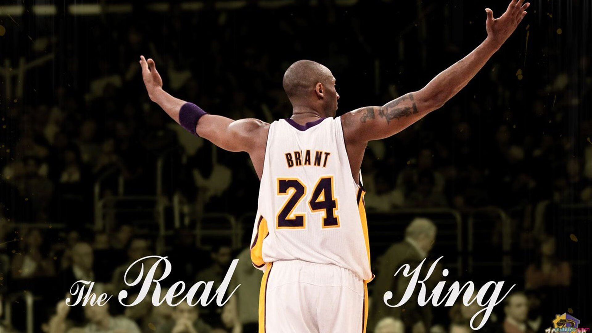 国际羽毛球锦标赛精彩瞬间,国际羽毛球挑战赛