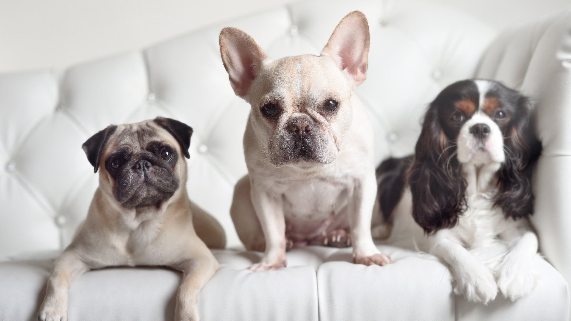 爱游戏官网首页-【传奇重现】奥沙利文如何保持竞技状态？训练细节曝光，奥沙利文解说