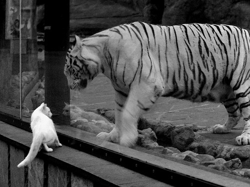 【高端对决】奥沙利文:攻守转换的战术博弈,奥沙利文最强对手