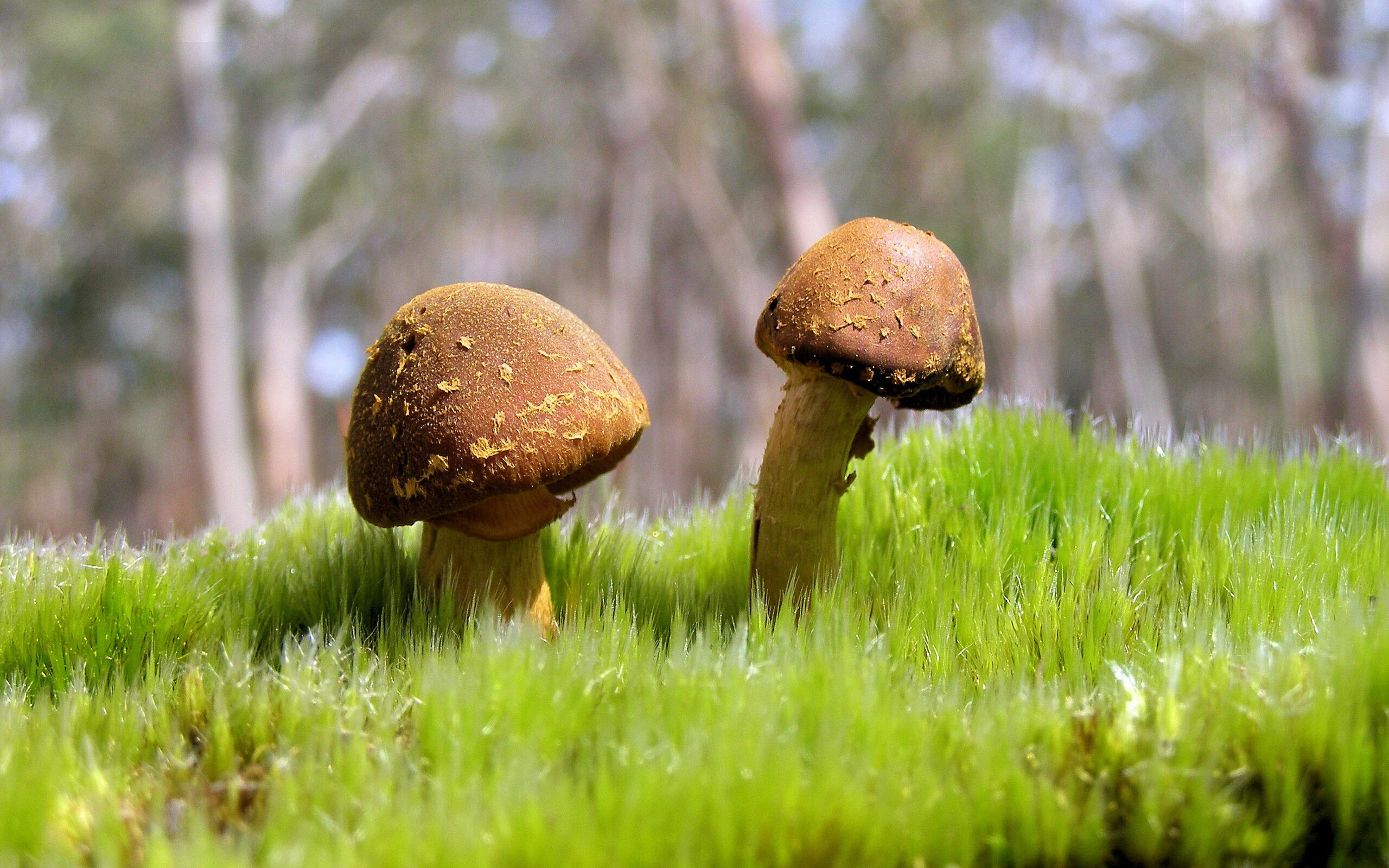 爱游戏体验-体育产业峰会召开，探讨数字化转型新机遇，体育产业发展论坛